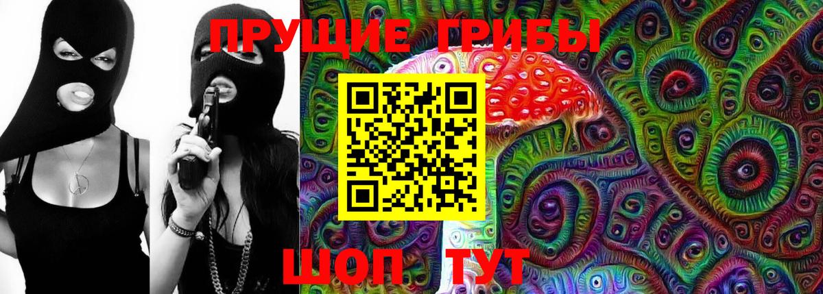 Галлюциногенные грибы Psilocybe Когалым