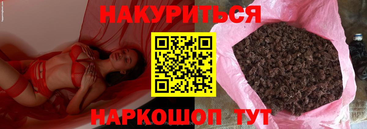 Каннабис Ganja  Каннабис планчик  МАРИХУАНА THC 21%  Вход с VPN  Когалым 